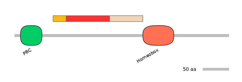 HsaEX6094144-INC