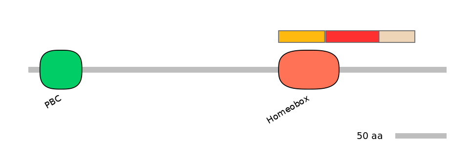 HsaEX6094147-INC
