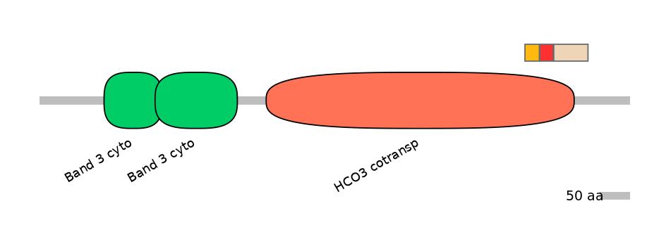HsaEX6100182-INC