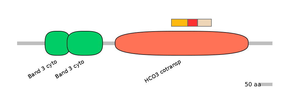 HsaEX6100186-INC
