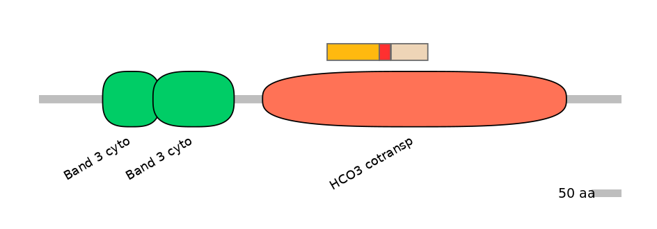 HsaEX6100187-INC