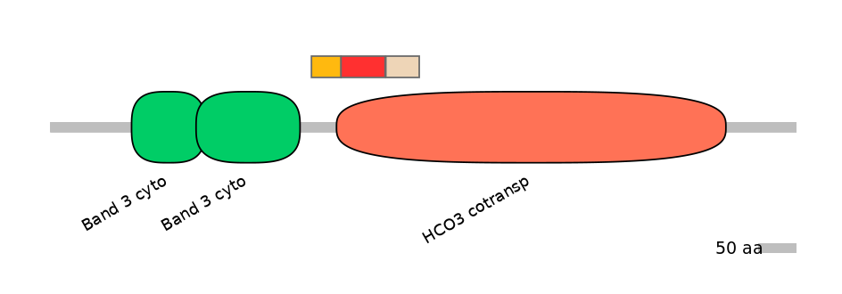 HsaEX6100190-INC