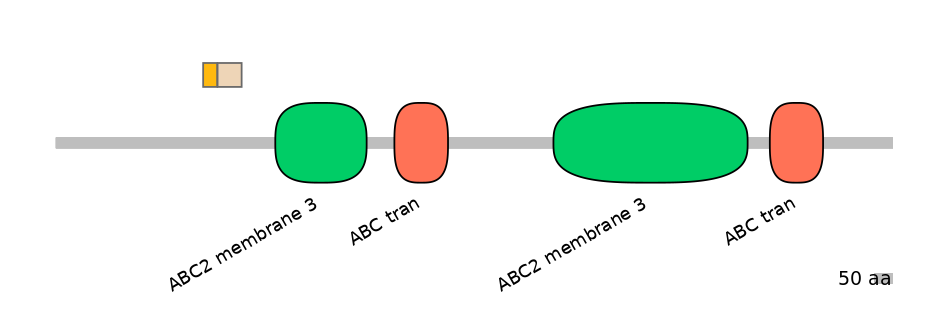 HsaINT0000365-EXC