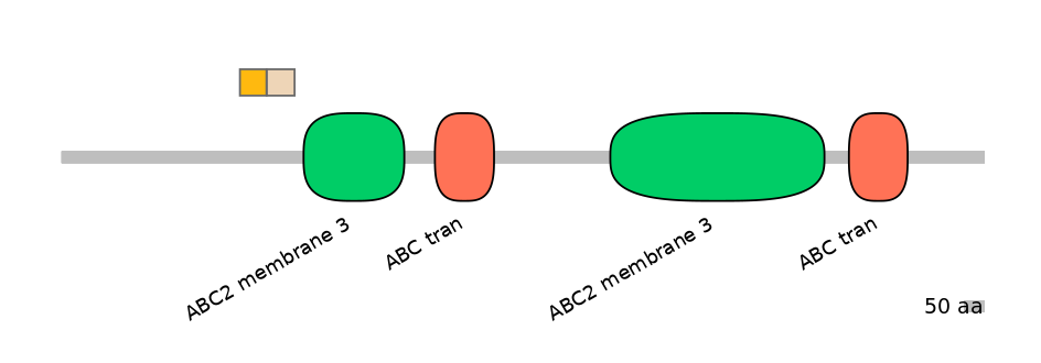 HsaINT0000366-EXC