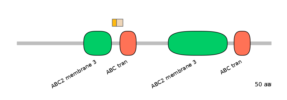 HsaINT0000372-EXC