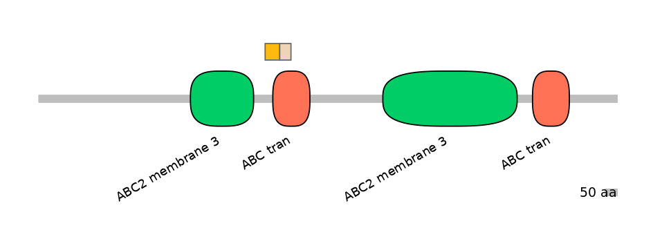 HsaINT0000373-EXC