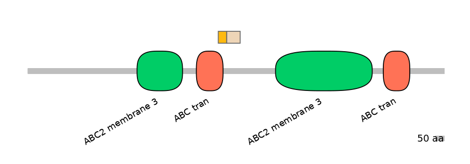 HsaINT0000377-EXC