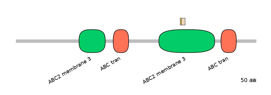 HsaINT0000389-EXC