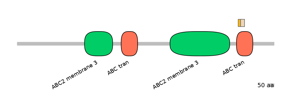 HsaINT0000400-EXC