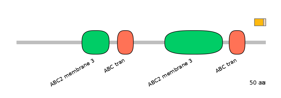 HsaINT0000406-EXC