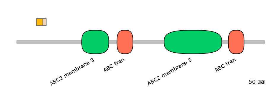 HsaINT0000409-EXC