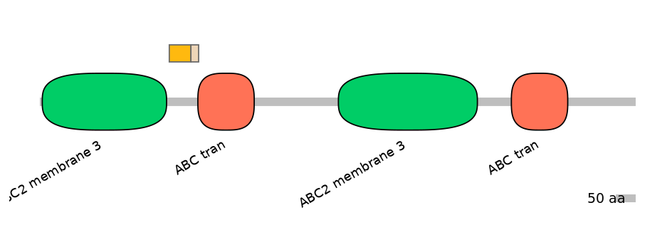 HsaINT0000413-EXC