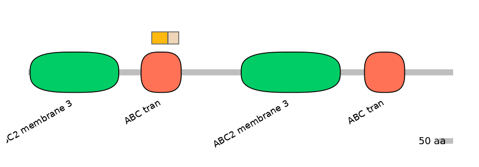 HsaINT0000416-EXC