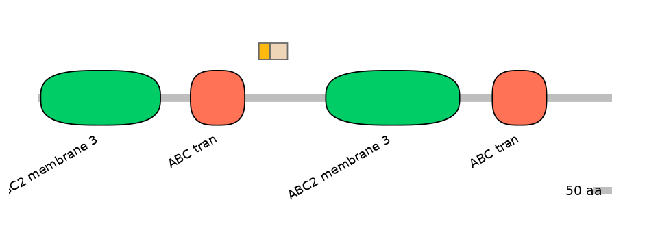 HsaINT0000419-EXC