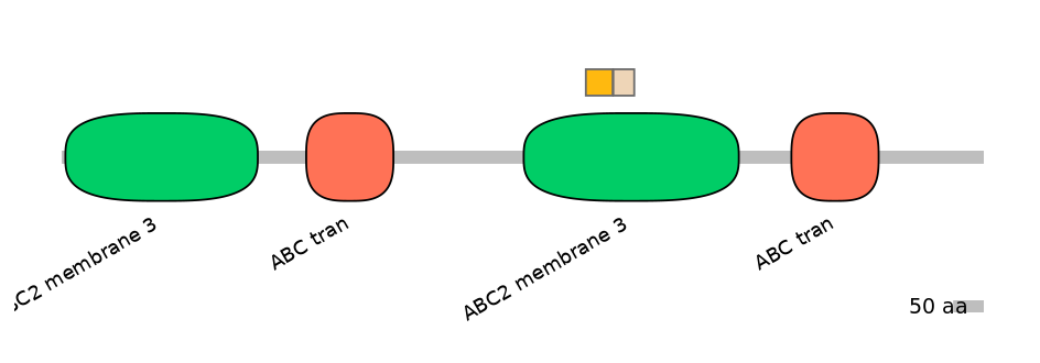HsaINT0000426-EXC