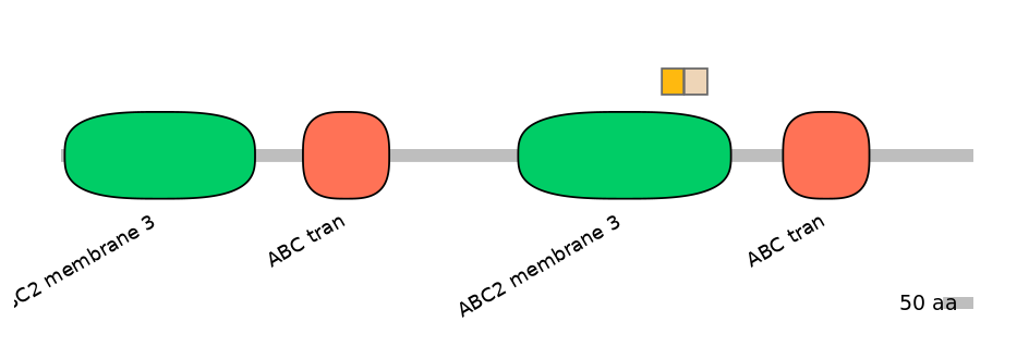 HsaINT0000429-EXC