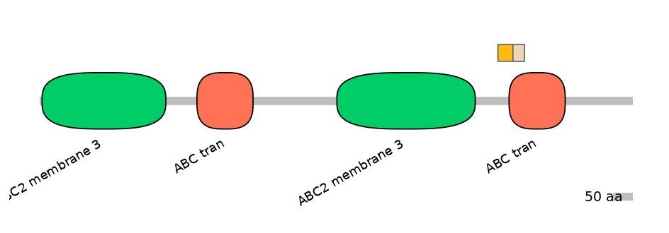 HsaINT0000435-EXC