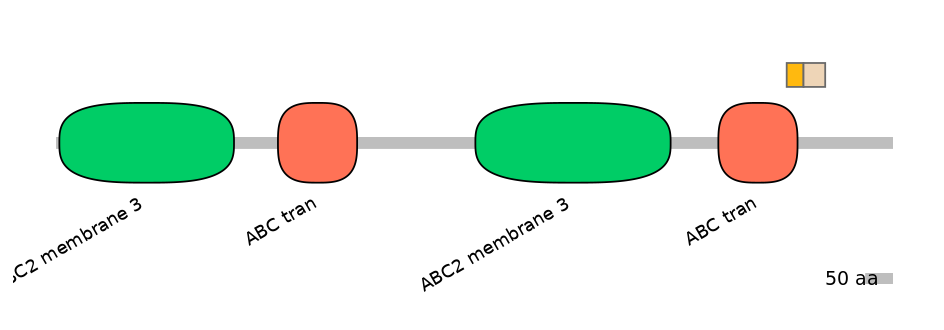 HsaINT0000439-EXC
