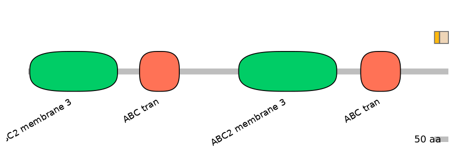 HsaINT0000443-EXC