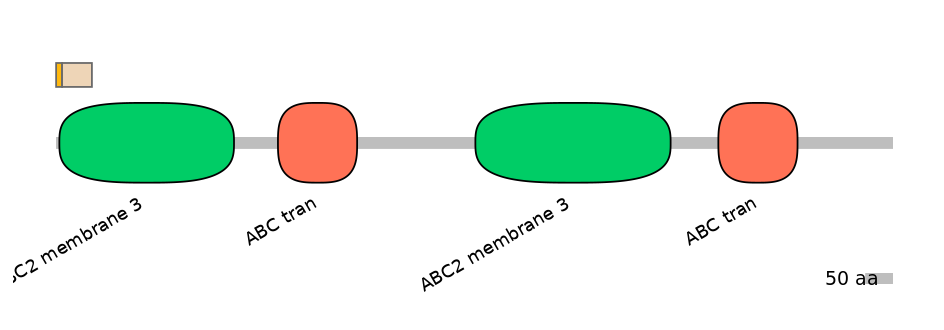 HsaINT0000444-EXC