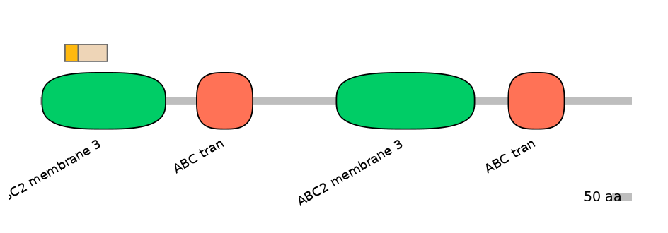 HsaINT0000446-EXC