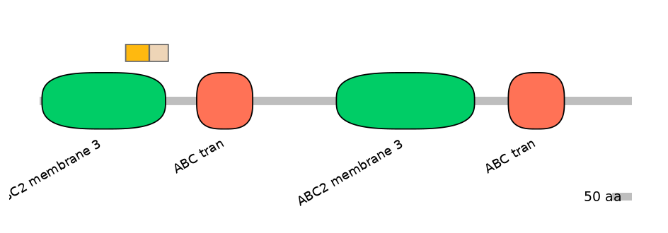 HsaINT0000449-EXC