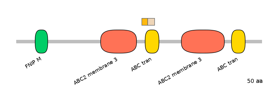 HsaINT0000463-EXC