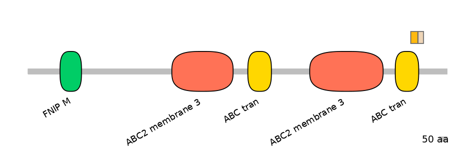 HsaINT0000485-EXC