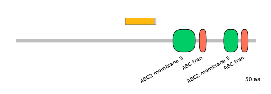 HsaINT0000511-EXC