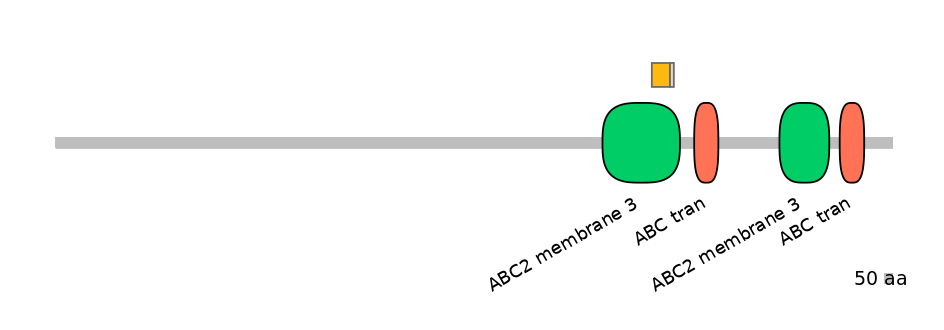 HsaINT0000528-EXC