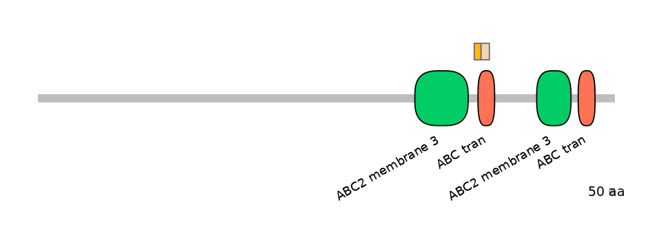 HsaINT0000532-EXC