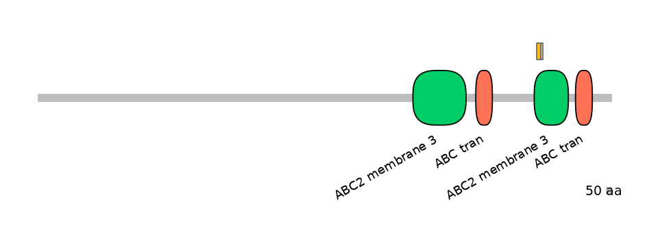 HsaINT0000544-EXC