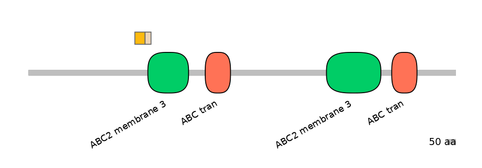 HsaINT0000583-EXC