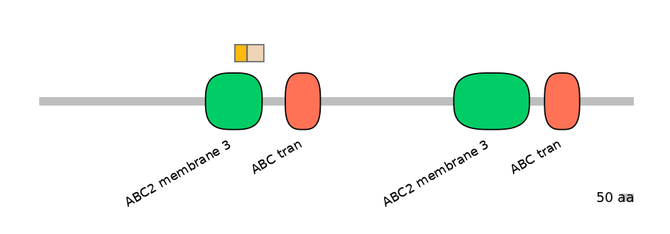 HsaINT0000587-EXC
