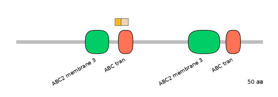 HsaINT0000591-EXC