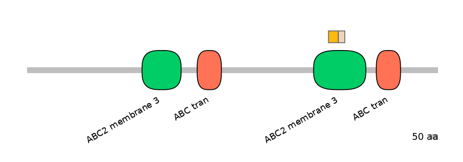 HsaINT0000606-EXC