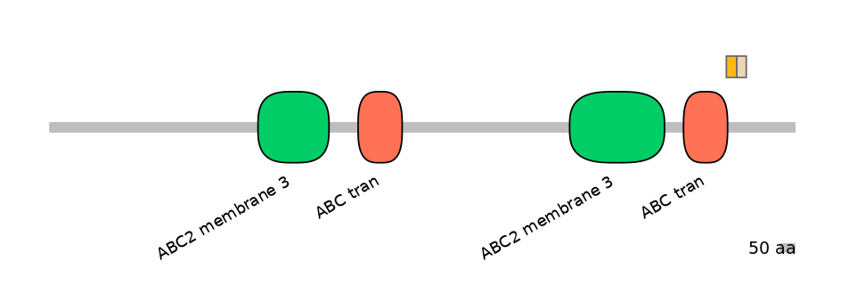 HsaINT0000616-EXC
