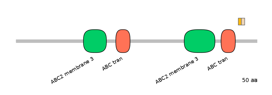 HsaINT0000617-EXC