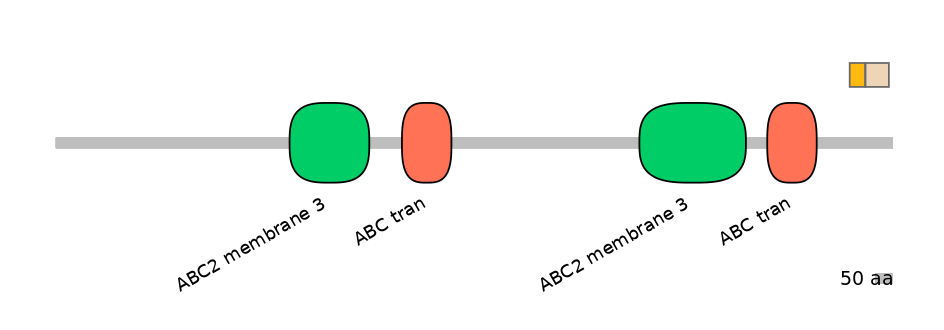 HsaINT0000619-EXC