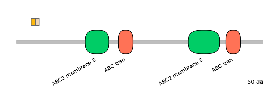 HsaINT0000621-EXC