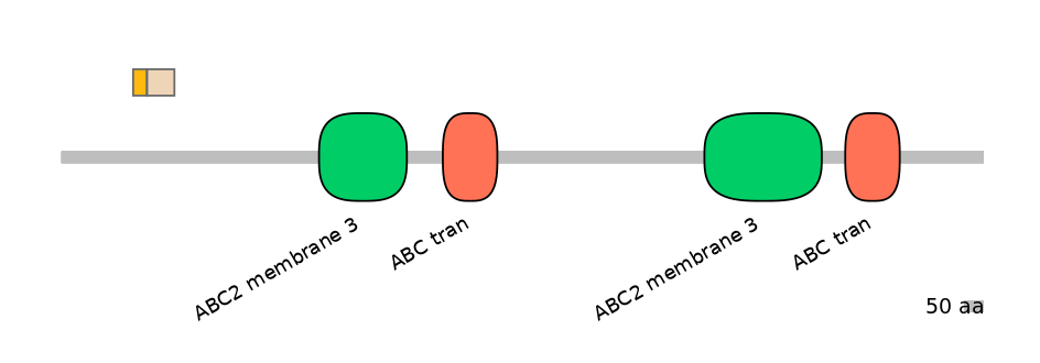 HsaINT0000622-EXC