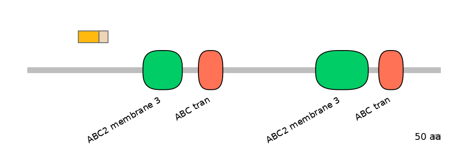 HsaINT0000624-EXC
