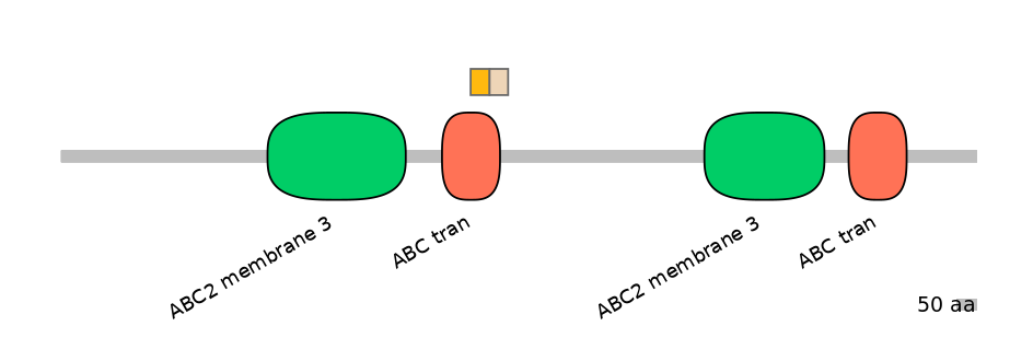 HsaINT0000672-EXC