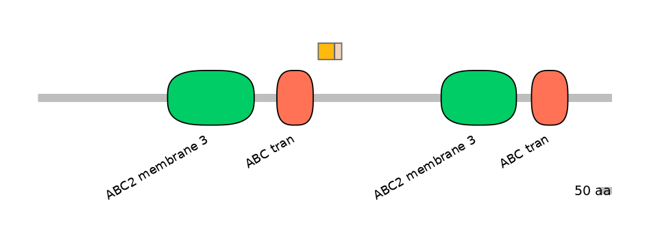 HsaINT0000674-EXC