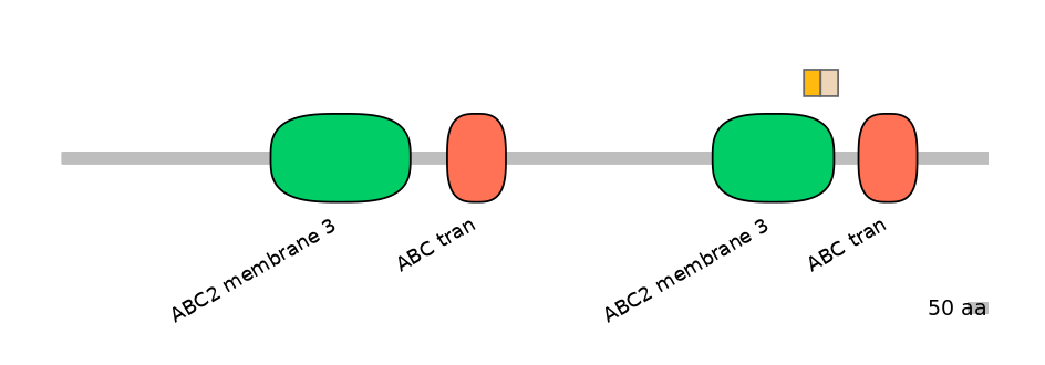 HsaINT0000691-EXC