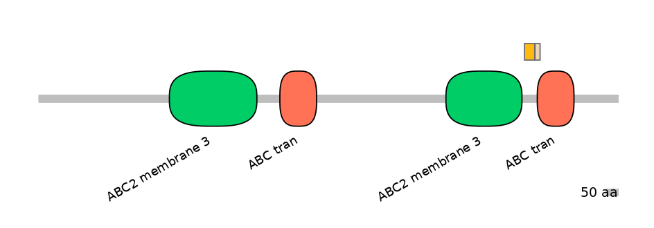 HsaINT0000694-EXC