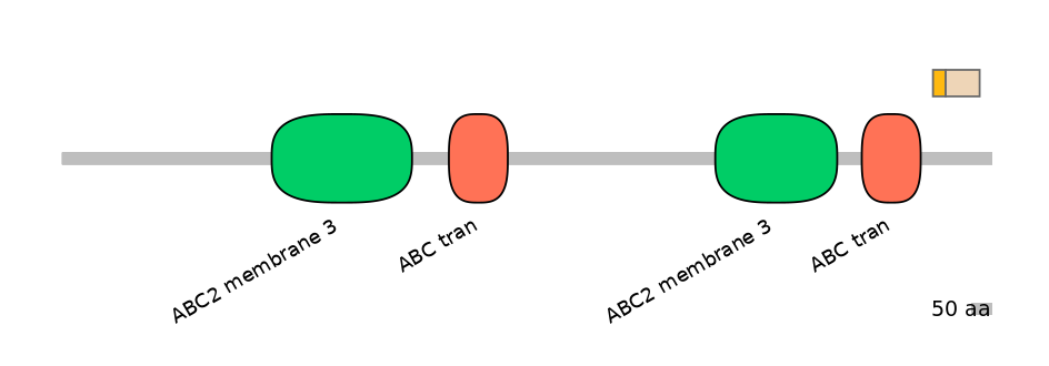HsaINT0000700-EXC