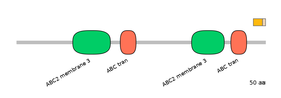 HsaINT0000701-EXC