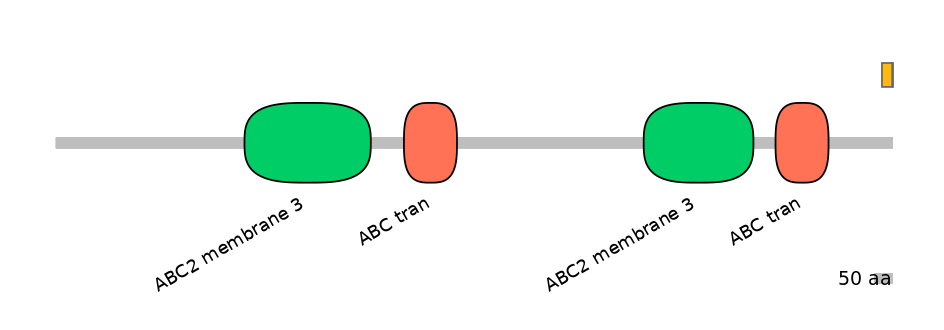 HsaINT0000702-EXC