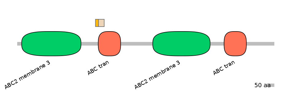 HsaINT0000708-EXC